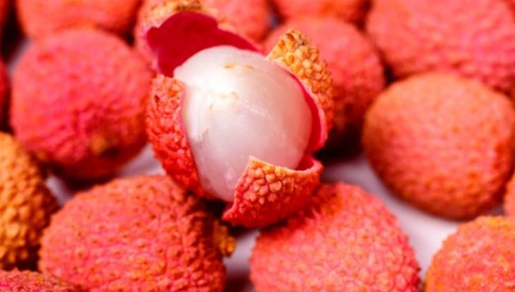 10 günde 31 çocuğu art arda öldürdü