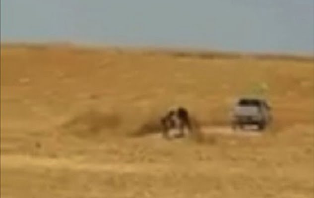 PKK/PYD terör örgütünün halkın ekinlerini yakma anı görüntülendi