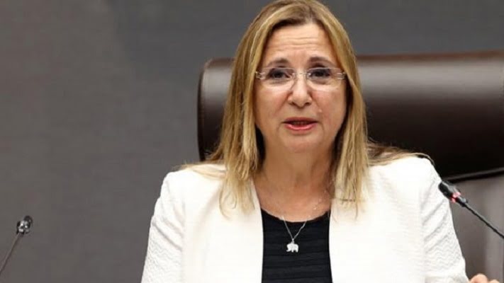 Ticaret Bakanı Pekcan’dan AB’ye Gümrük Birliği mesajı