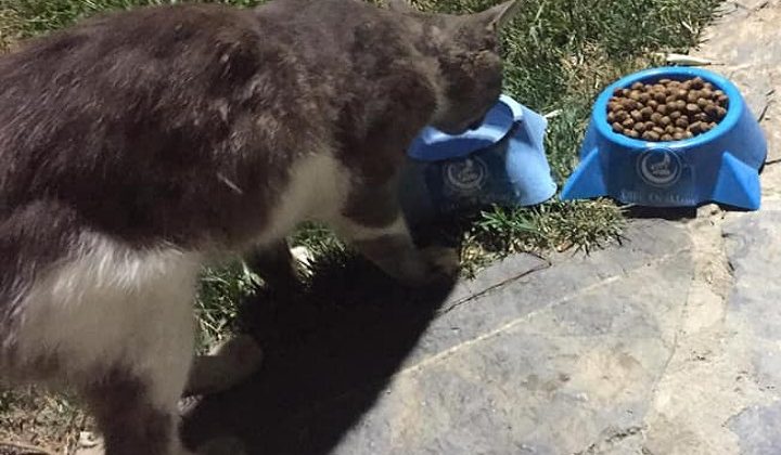 Maltepe Ülkü Ocaklrından duyarlı çalışma