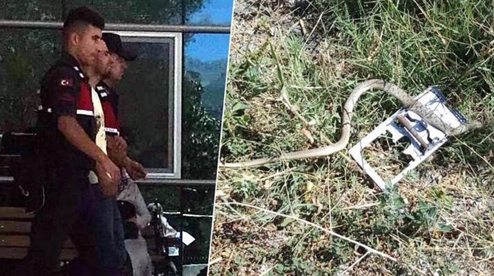 Yılanı vurayım derken hamile eşini öldürdü
