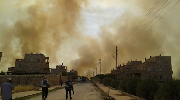 Mardin’de orman yangını! 6 mahalle tehdit altında!