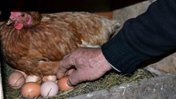 Organik diye satılan ürünlere dikkat! Ölüm tehlikesi olabilir