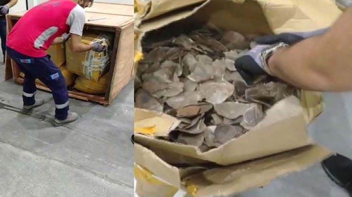 İstanbul Havalimanı’nda bulundu! Değeri tam 8,5 milyon TL