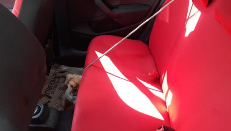 Arabanın içinde bırakıp alışverişe gittiler! Ölü bulundu