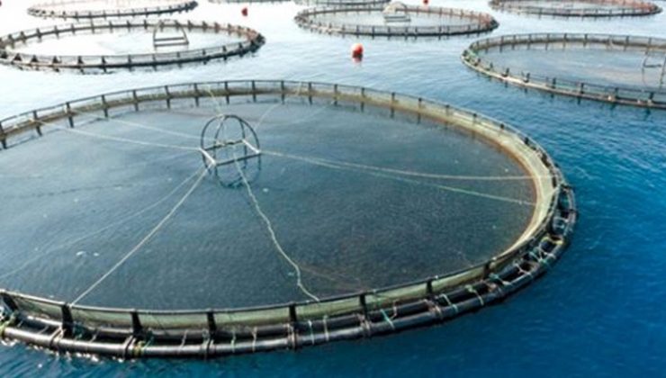 Yıllık tam 940 milyon lira Ekonomiye katkı!