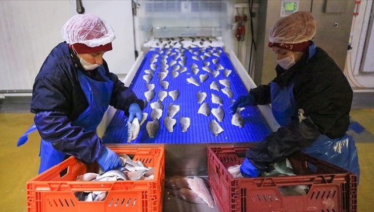 Sagun: Balık ihracatımız 1 milyar dolara ulaştı