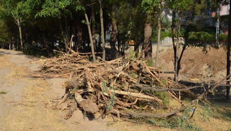 HDP’li belediyenin ağaç kesimine tepki