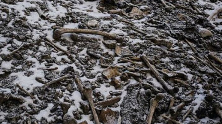 DNA analizleri de sırrı çözemedi