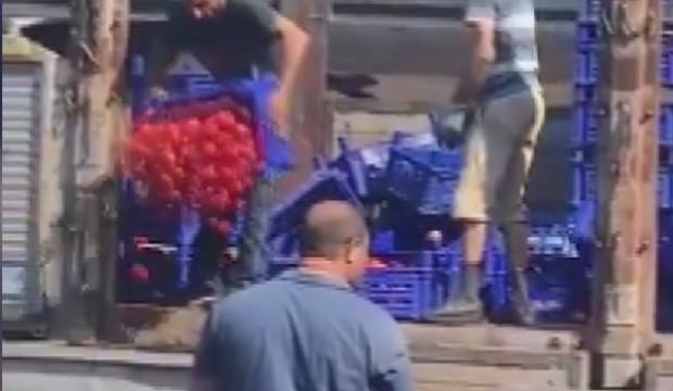 Kasa kasa domates ve biberi çöpe döktüler