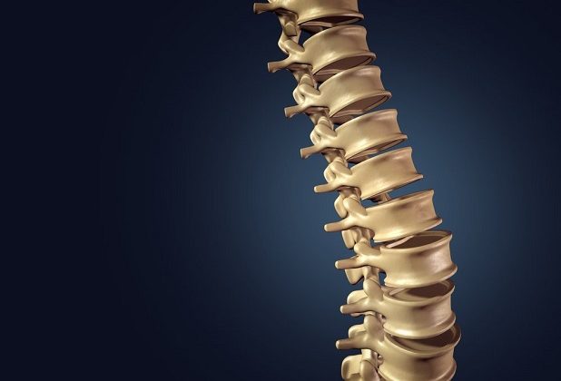 Omurga tüm vücudun dengede kalmasını sağlayan temel yapıdır