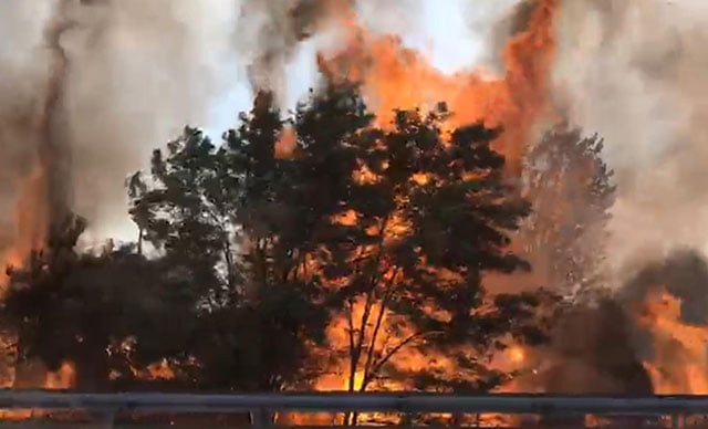 Kaliforniya’da ulusal ormandaki yangın kente ulaştı