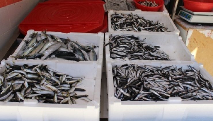 Trabzon’da balık fiyatları ramazan öncesi düştü! Vatandaş tezgahlara akın etti