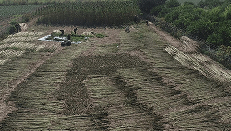 Tası tarağı toplayıp ABD’den Türkiye’ye geldi