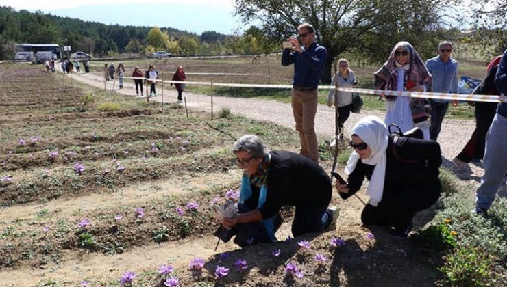Kilosu 30 bin TL’den satılıyor! Türkiye’ye akın ediyorlar