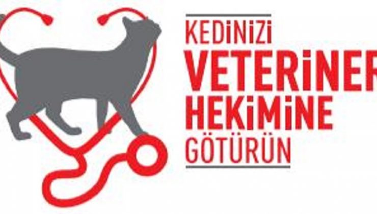 Kediler gerçekten 9 canlı mı?