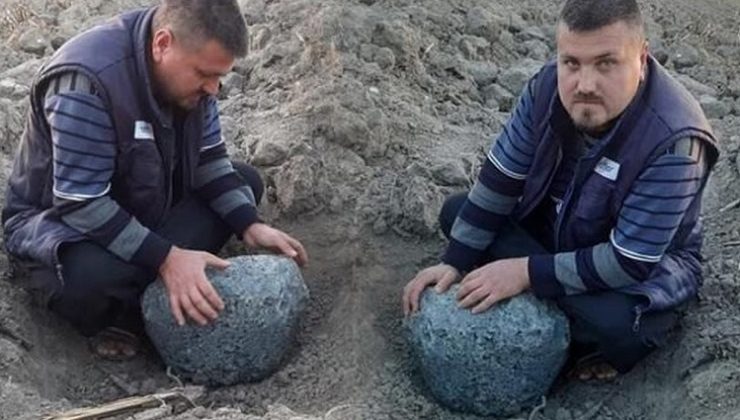 Adana bu haberi konuşuyor! 40 kilo ağırlığında tarlada bulundu