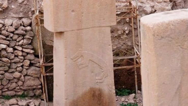 Göbeklitepe’deki tilkinin sırrı Kars’ta çözüldü