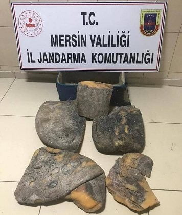 Balina kusmuğu operasyonu! Yakalandılar