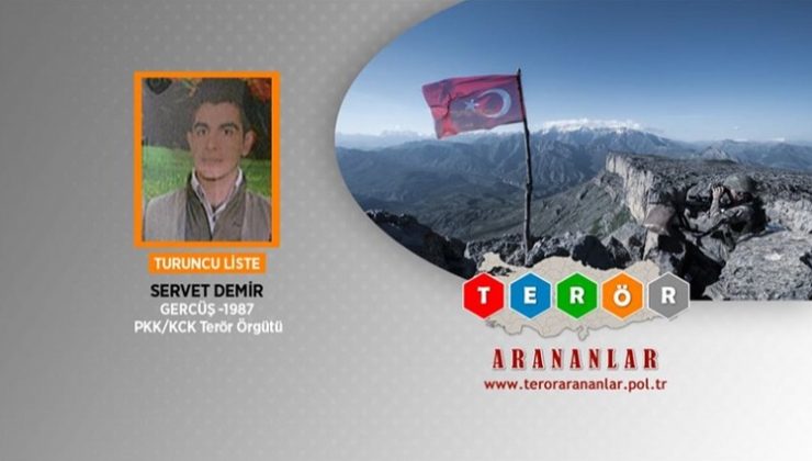 Turuncu kategorideki terörist etkisiz hale getirildi