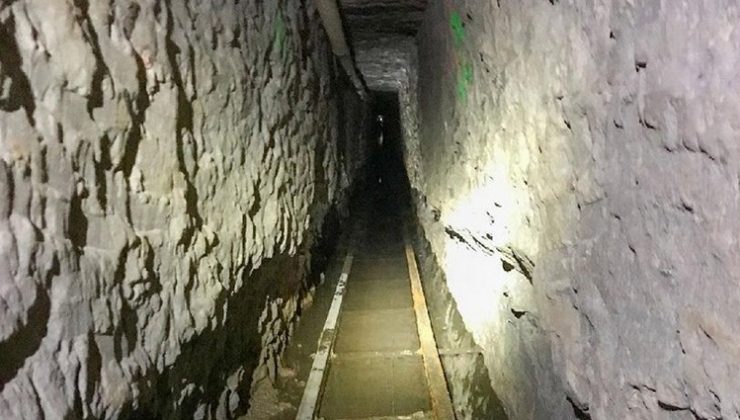 Sınırda bulundu! Şimdiye kadarkilerin ‘en uzun’u