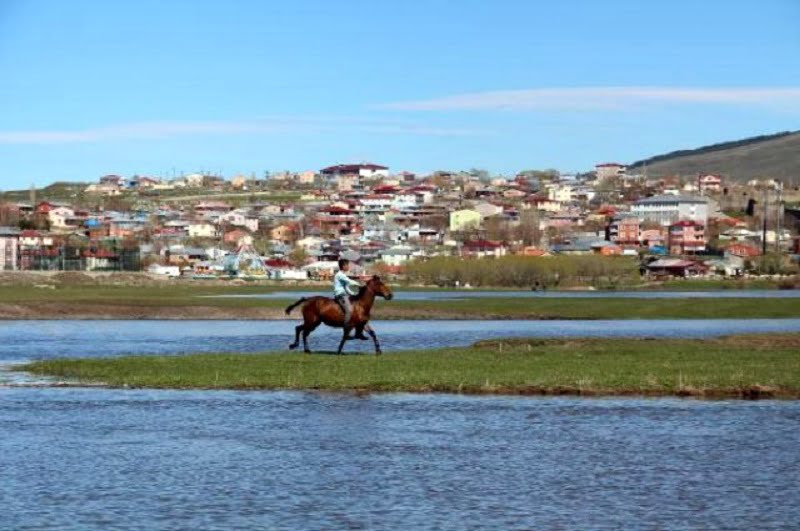 Kura Nehri taşınca kente hayat veren ova sular altında kaldı