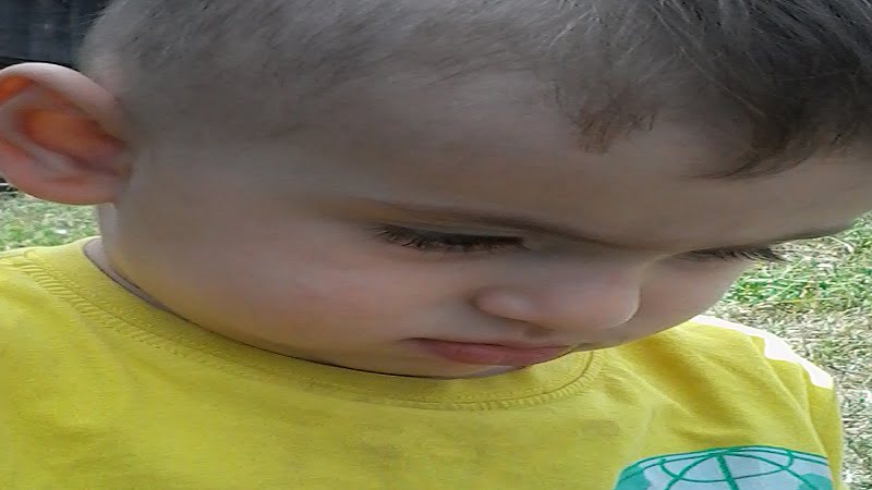 Okul Destek Projesi ile 20 bin 464 çocuğa rehberlik