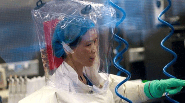 ‘Koronavirüs, buz dağının yalnızca görünen yüzü’ diyen ‘yarasa kadın’ vahşi hayvanları işaret etti erken uyarı vermeliyiz