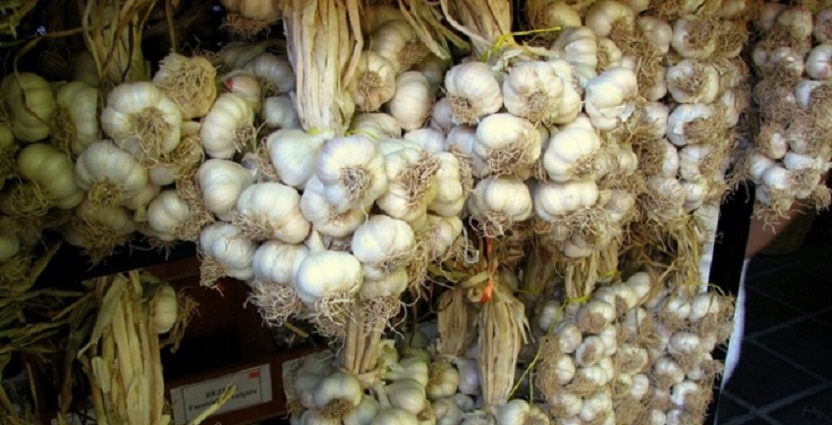 Ruslar Türkiye’den alıp korona hastalarını tedavi ediyor