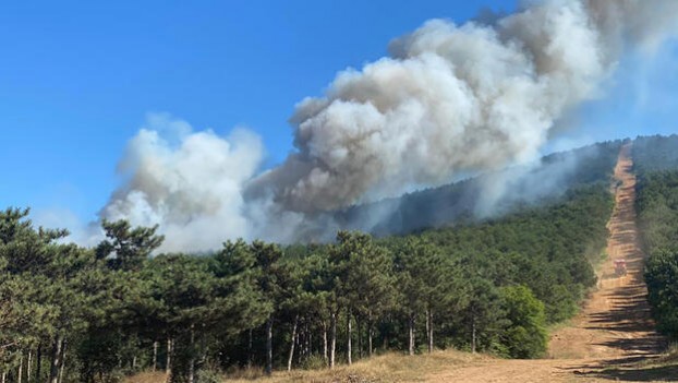 İstanbul Kayışdağın da korkutan yangın