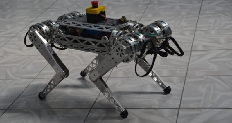 Türk robot “Miniada” Uzaya gitmek istiyor