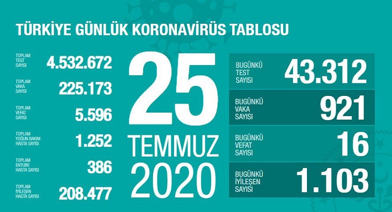 Türkiye’de koronivirüs vaka sayısı 225 bin 173 sayısı 5 bin 596 oldu