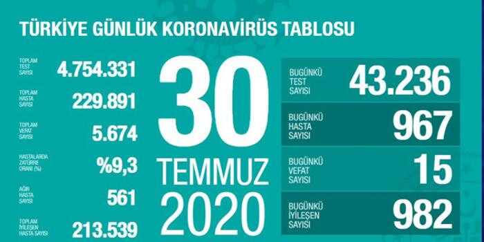 Türkiye’de koronivirüs vaka sayısı 229 bin 891 sayısı 5 bin 674 oldu