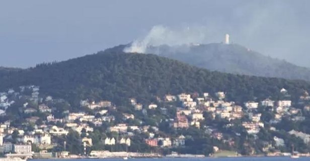 Büyükada’da korkutan orman yangını