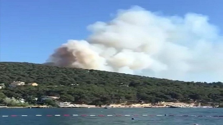 Heybeliada’da yangın