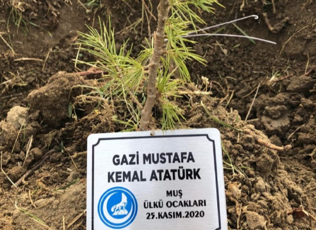 Terörün yaktığı ormanları Ülkü Ocakları yeşertiyor