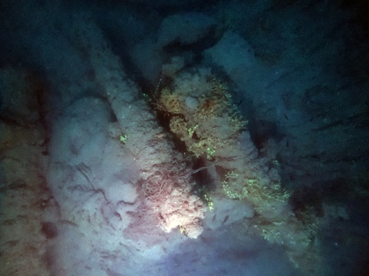 Foça açıklarında 18 yy. ait savaş gemisi batığı bulundu