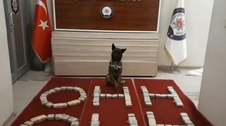 Van’da narkotik operasyonu