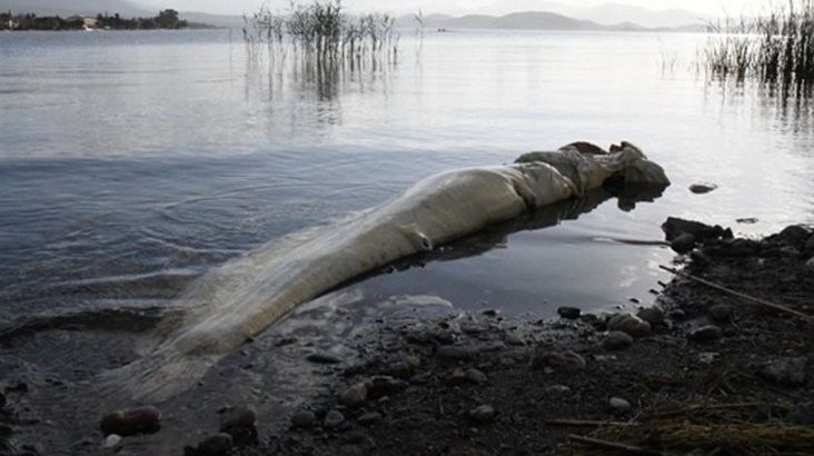 Böylesini daha önce görmediler! Kıyıya vurdu