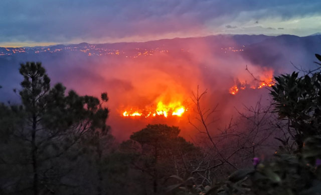 Muğla’da beşer dakika arayla iki orman yangını