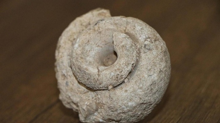 Adıyaman’da bulundu! Tam 70 milyon yıllık