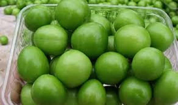 Yeşil eriğin fiyatı çeyrek altınla yarışıyor