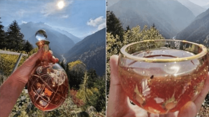 Türkiye’de mağarada toplanan kantaron balı Guinness Rekorlar Kitabı’na girdi