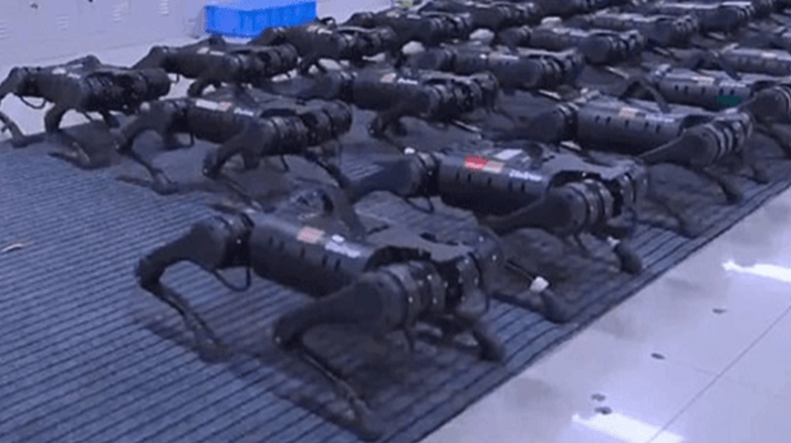 Geleceğin silahını tanıttılar Robot katil köpekler