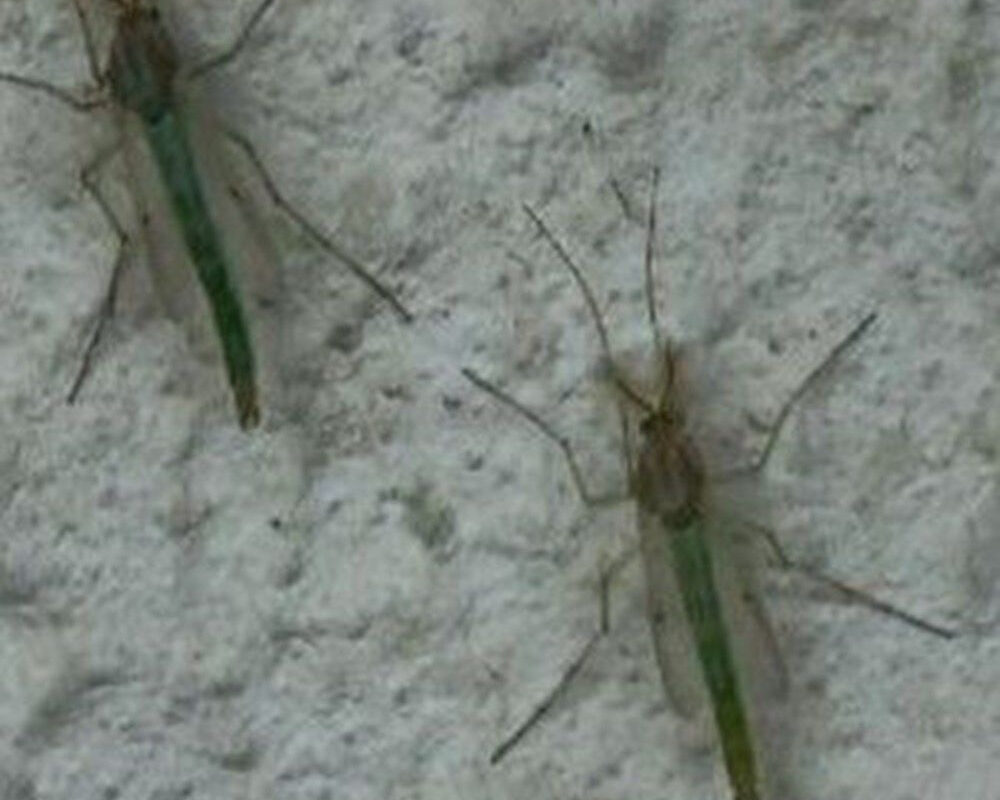 Havalar ısındı, Büyükçekmece’yi sardı!