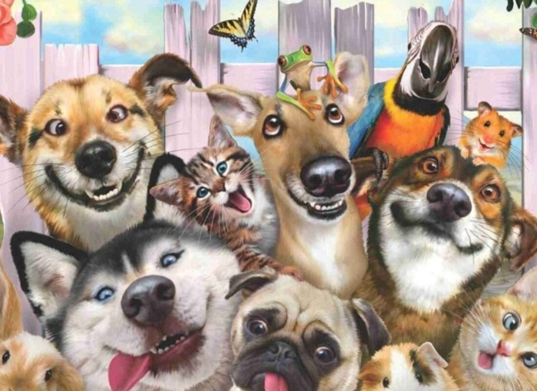 Mal’ değil ‘can’ sayılacaklar