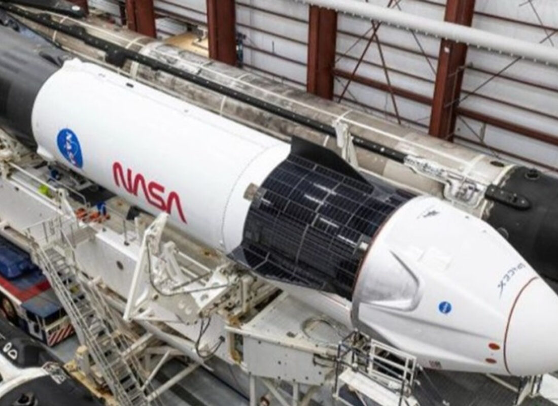 İnsanlığın umudu mürekkep balığı!