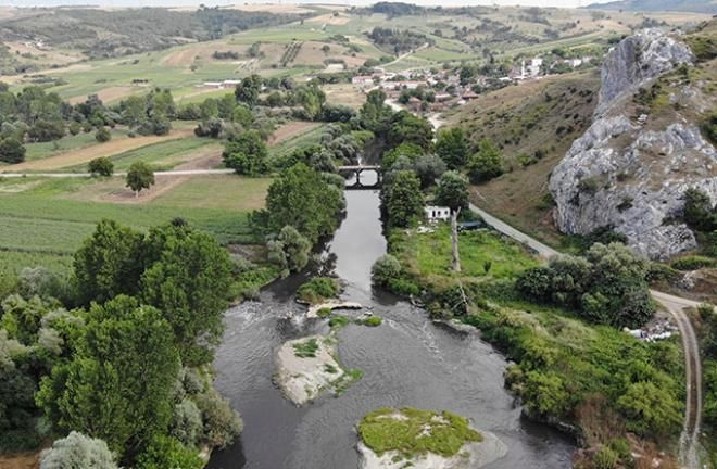Gelen misafir kaçıyor Nilüfer çayına ne oldu?