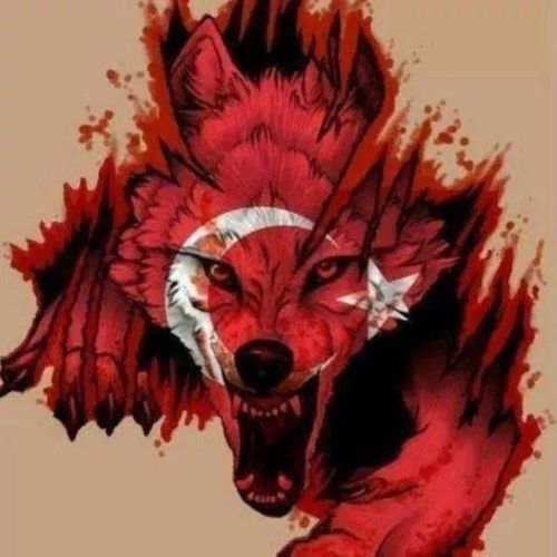 Büyük alçaklık! Türk bayrağını çiğneten darbeci Hafter milisleri, çizgiyi aştı.