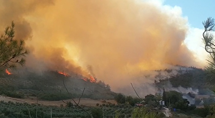Cezayir’i yangınlar zorluyor 65 ölü